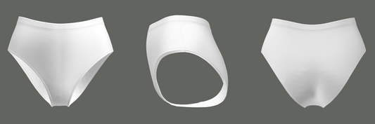 Womens High Waist Brief